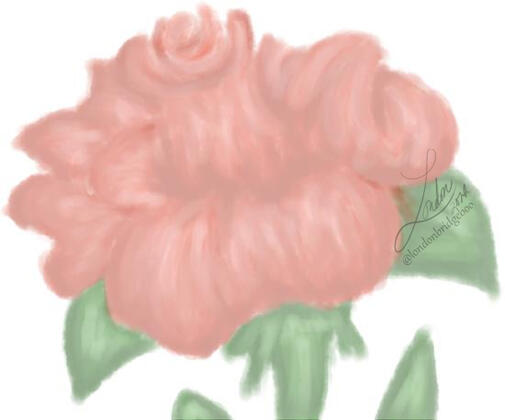 Rose Practise (Other)